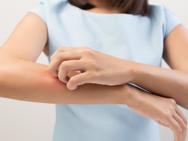 Снимка: istock