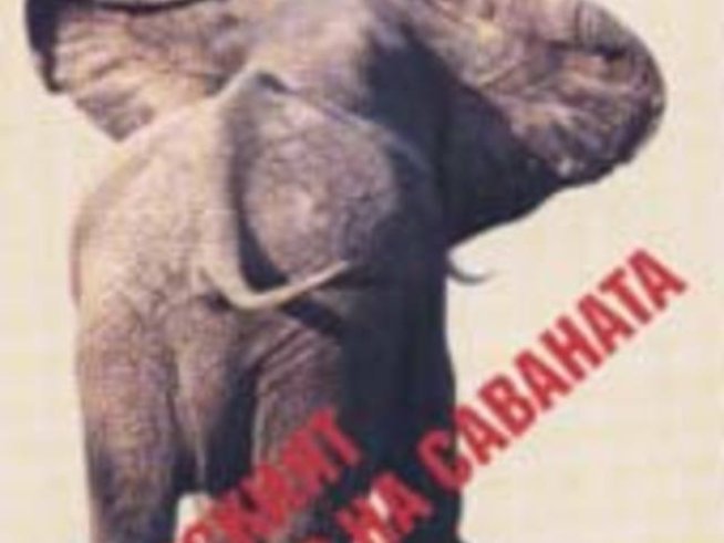 Истинският господар на саваната