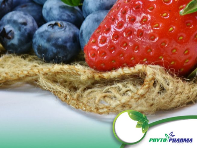 Снимка: Phytopharma