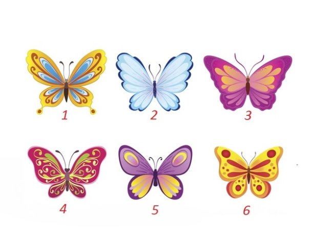 Илюстрация: istock