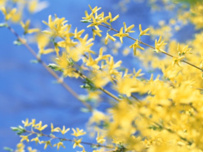 Снимка: Gettyimages.com