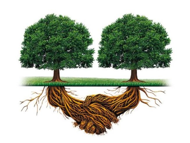 Корица: Хермес