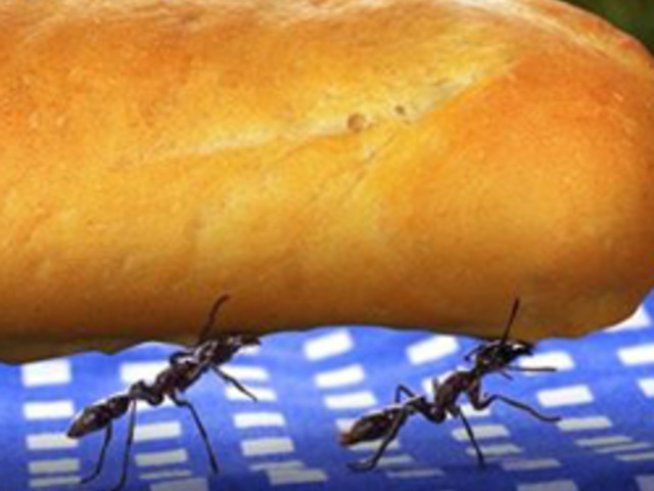 Кои са опасните оцветители?