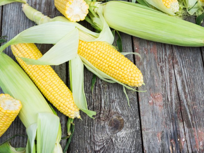 Снимка: istock