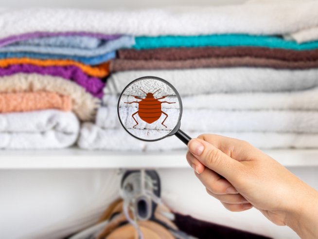 Снимка: istock