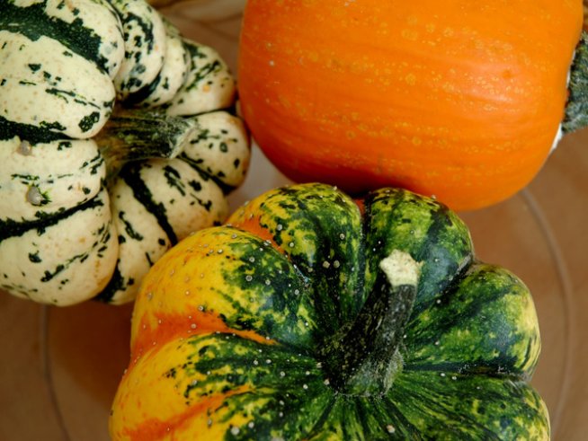 Снимка: Sxc.hu