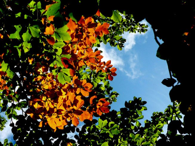 Снимка: Sxc.hu