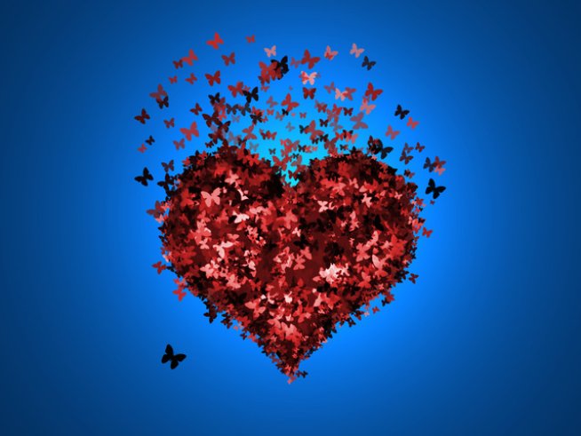 Снимка: Sxc.hu