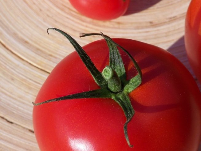 Снимка: Sxc.hu