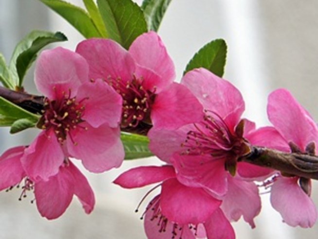 „Обичам те“ между компютъра, бара и леглото