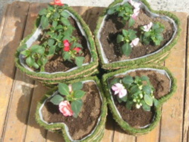 Цветя от сърце в сърце