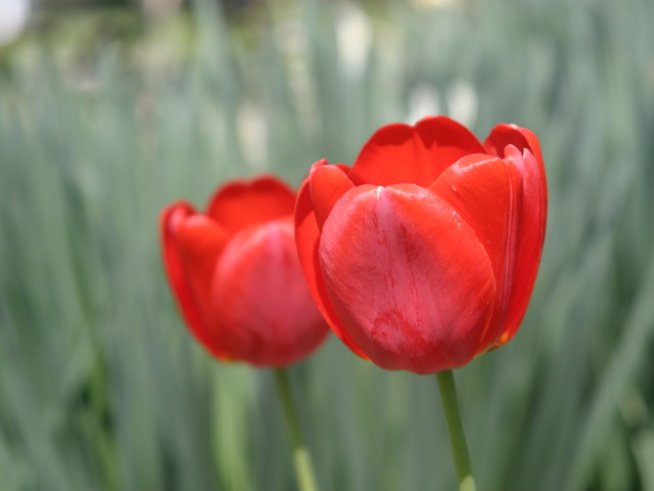 Снимка: Sxc.hu