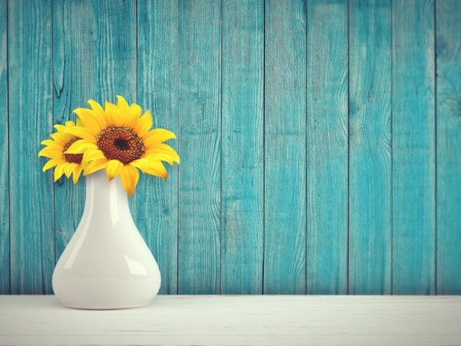 Снимка: pixabay