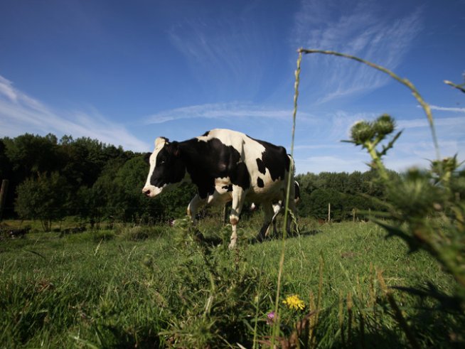 Снимка: Reuters