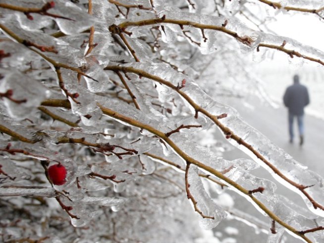 Снимка: Reuters