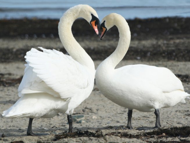 Снимка: Sxc.hu