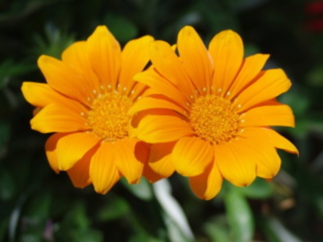 Лека програма през първия уикенд на юни