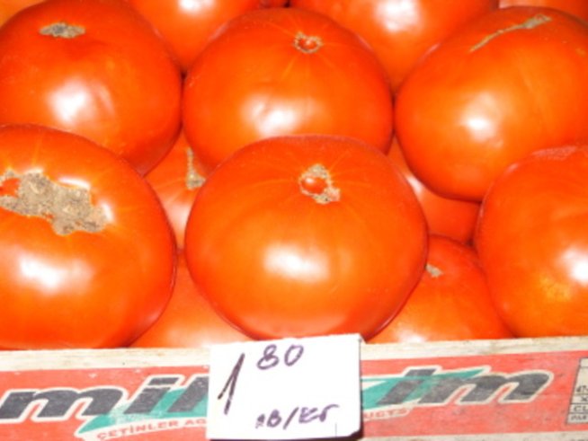 Страхувате ли се от заразени краставици и домати?