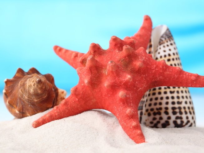 Снимка: photl.com