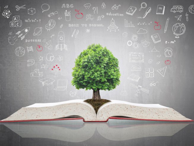 Снимка: istock