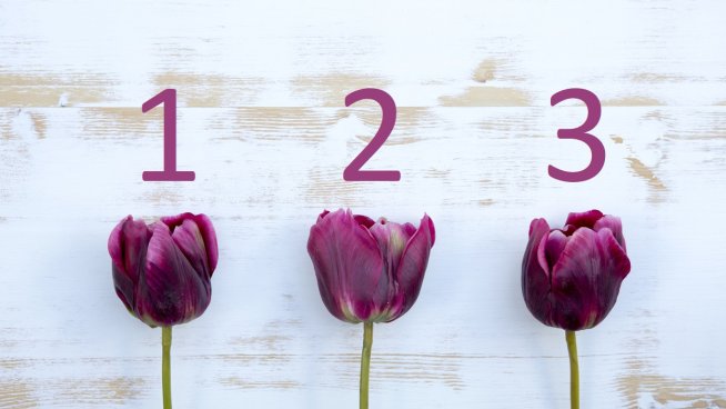 Тест: Каква е вътрешната ви красота?.Снимка: istock