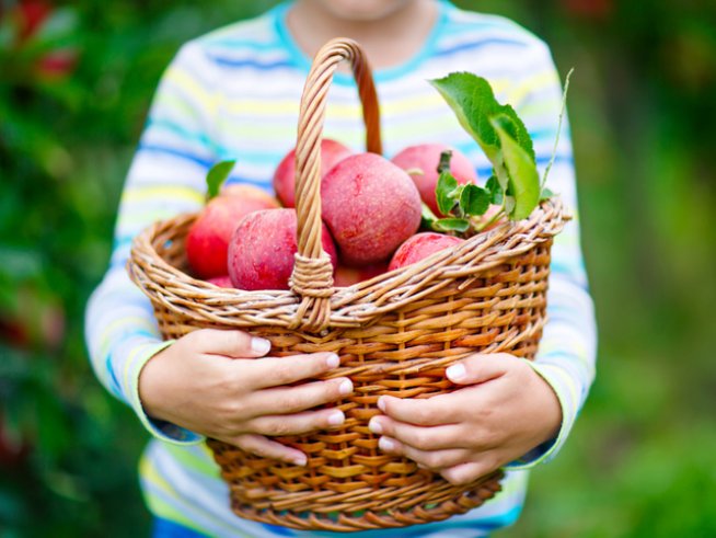 Снимка: istock