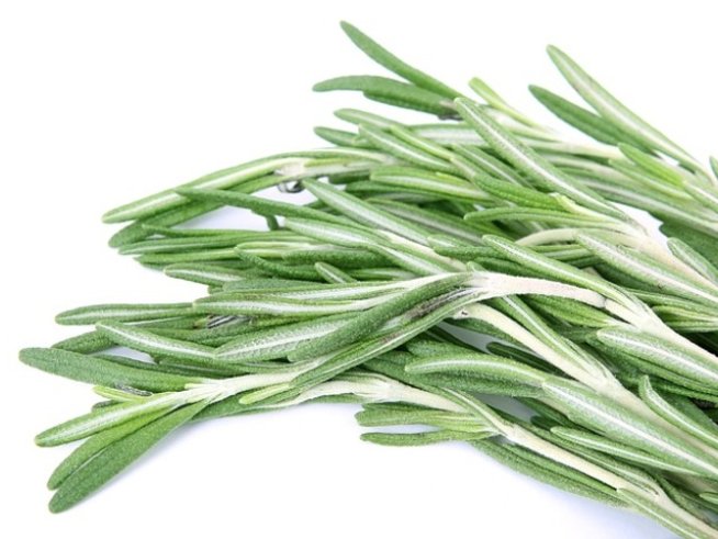 снимка: pixabay