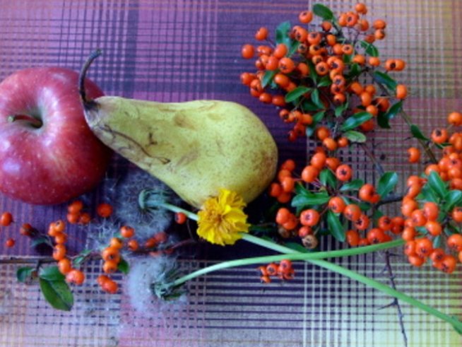 Предложения за почивните дни – 12 и 13 ноември