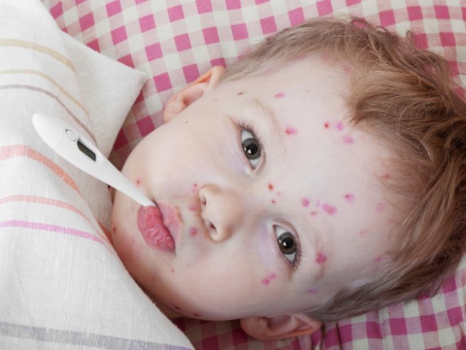 Снимка: iStock