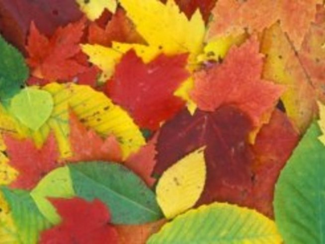 Есен, есен...