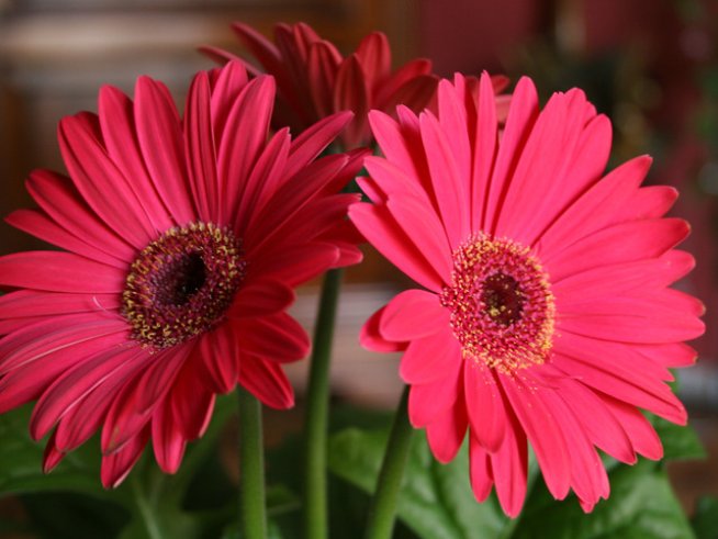 Снимка: Sxc.hu