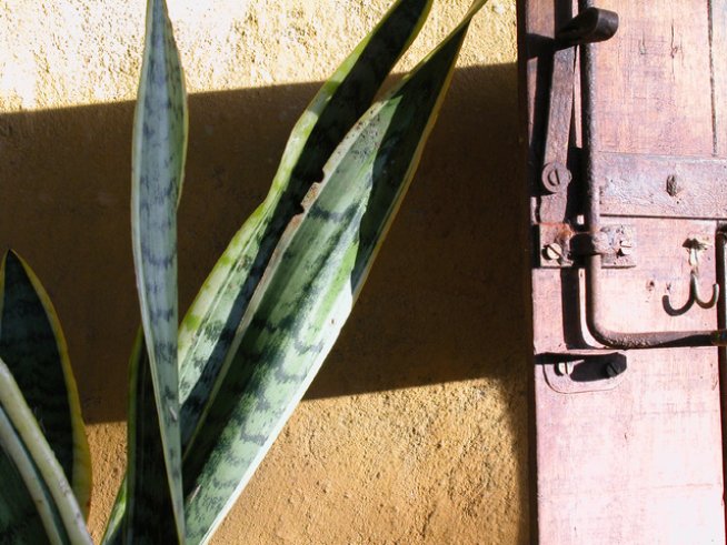 Снимка: Sxc.hu