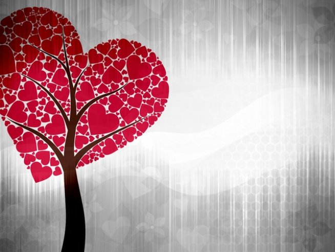 Снимка: Sxc.hu