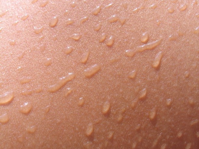 Снимка: Sxc.hu