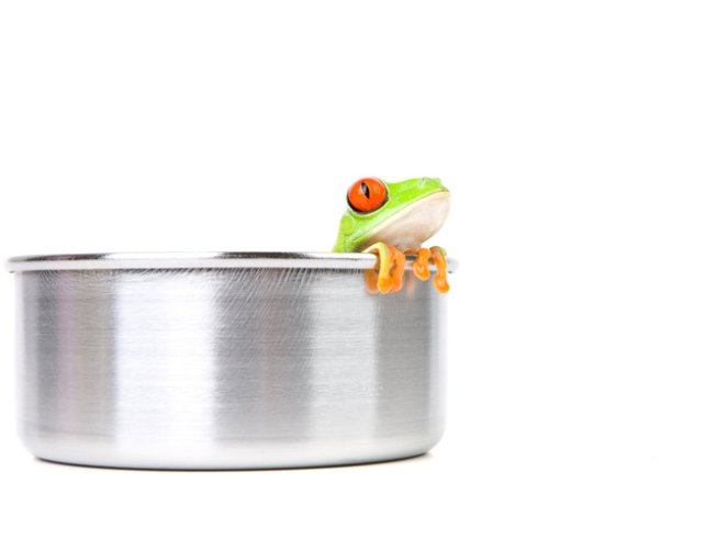 Снимка: istock