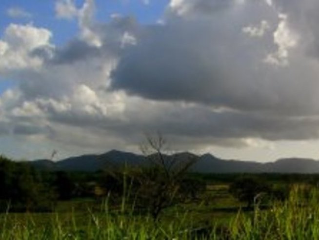 Кошмарите – защо ги сънуваме и как да се справим