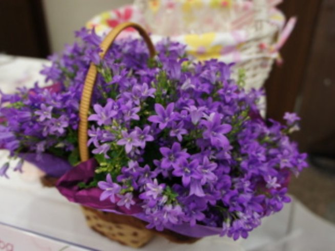 10-ият рожден ден на Az-jenata.bg премина с усмивки, цветя и здравословна храна