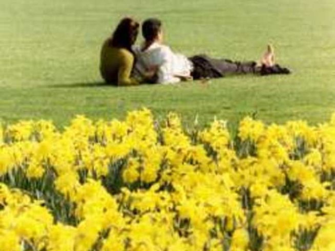 Най-честите спорове в леглото