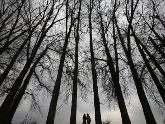 Шествие под надслов „Да спасим гората от закона“ на 14-и март