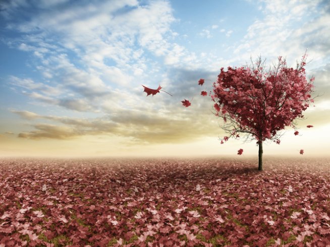 Снимка: thinkstock