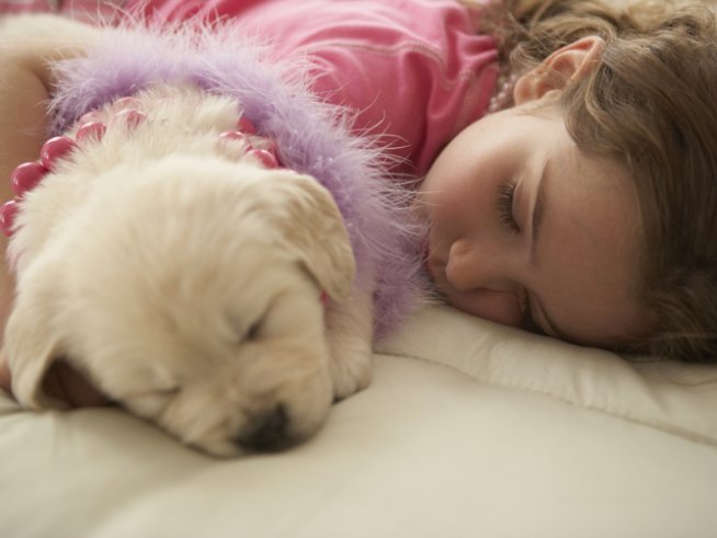 Снимка: Thinkstock