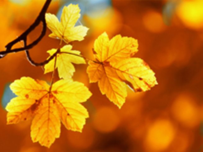 Есенни въпроси