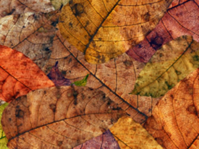 Есента ме прегърна