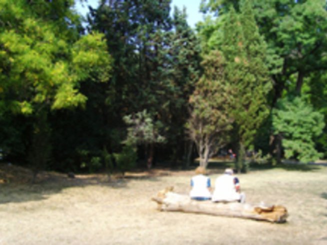 Тяхната есен