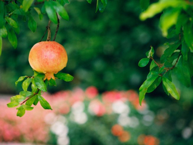 Снимка: thinkstock