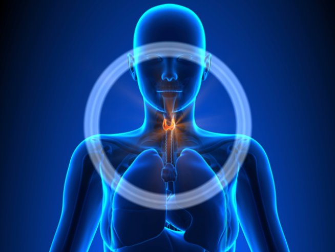 Снимка: thinkstock