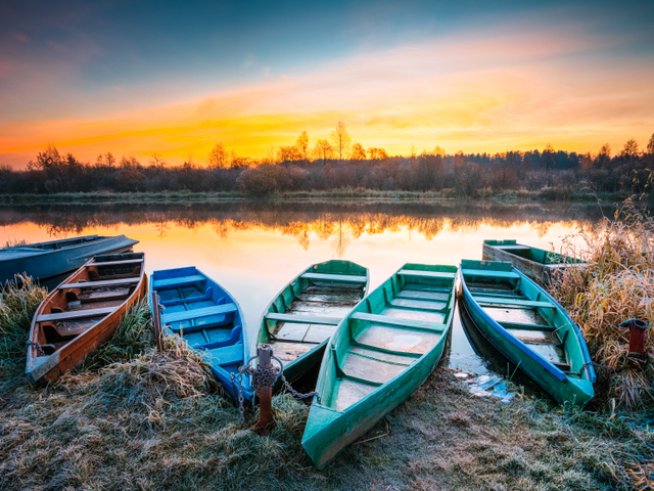 Снимка: istock