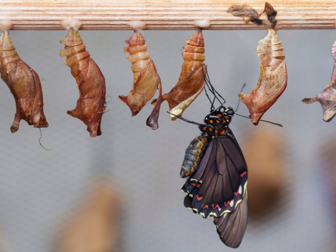 Снимка: thinkstock