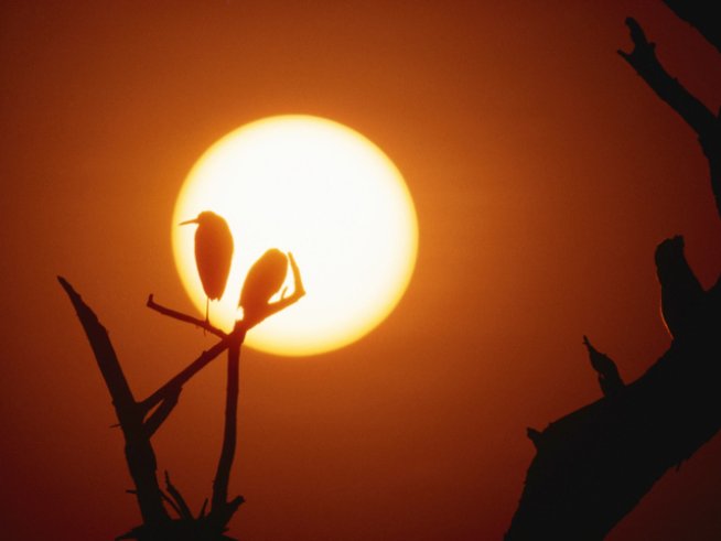 Снимка: thinkstock