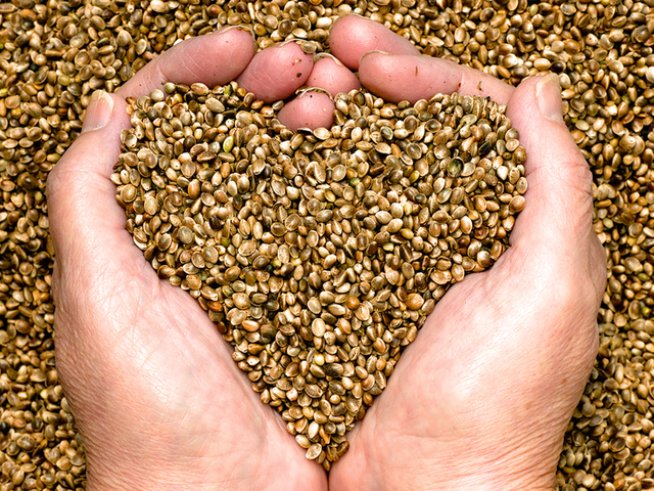 Снимка: istock